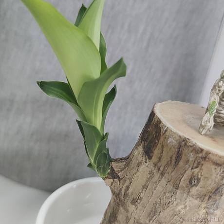 ScorpioSmile于2023-05-19 14:41发布的图片