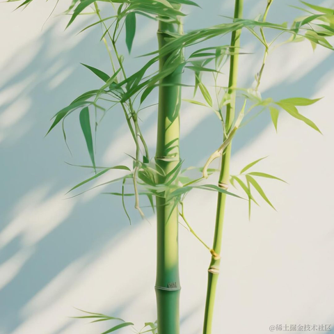 码界西柚于2024-04-29 21:05发布的图片