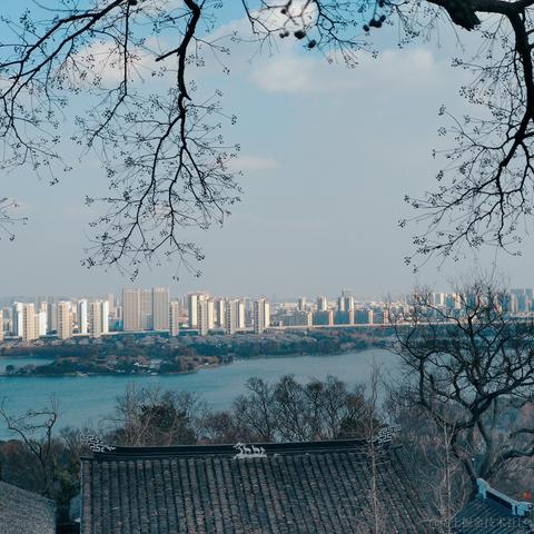 cen姜于2023-01-24 23:48发布的图片