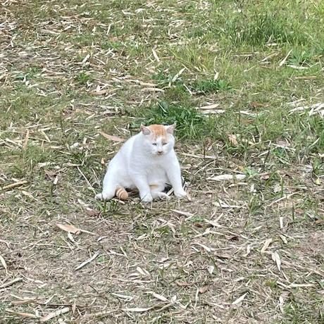 王木木只有三岁于2022-11-27 14:27发布的图片