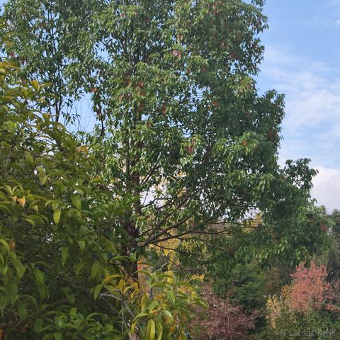 灵小猫于2022-11-11 13:05发布的图片