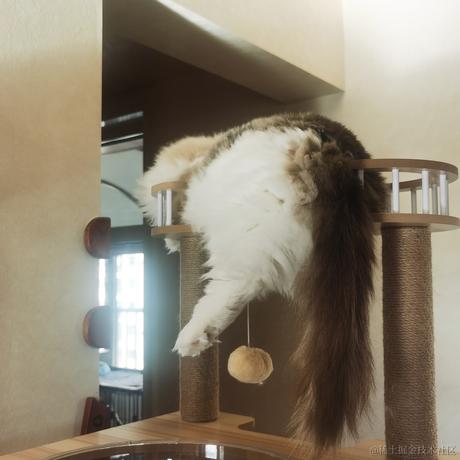 Firmament于2022-12-10 11:46发布的图片