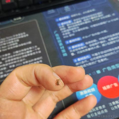 优秀稳妥的金枪小魔王于2023-06-06 09:34发布的图片