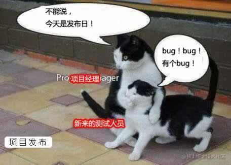 noooBug