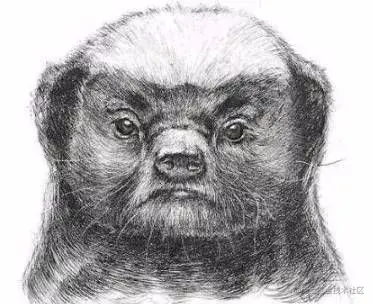 云原生调研记录