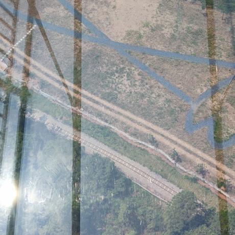 纯良贝极星于2022-12-13 11:25发布的图片