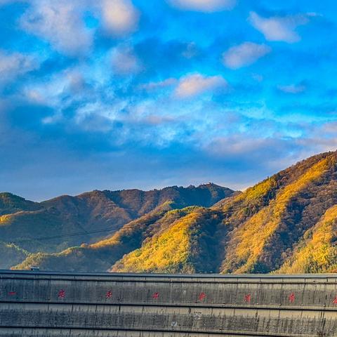 小栗帽永远的神于2022-11-29 07:27发布的图片