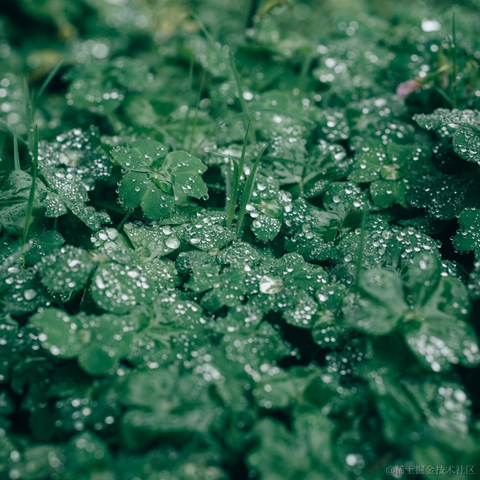 wsq于2023-04-11 20:48发布的图片