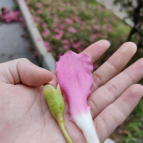 李小政935于2022-11-24 08:01发布的图片