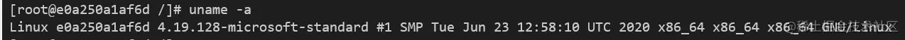uname在docker的运行效果