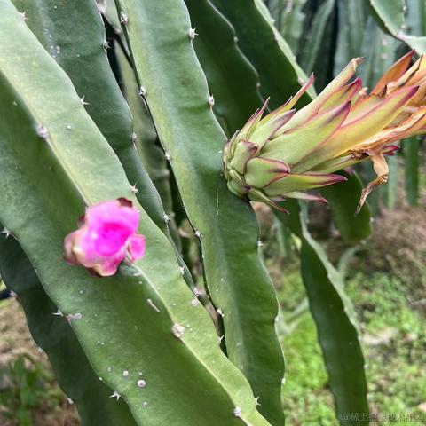 我想中奖于2023-01-27 16:26发布的图片