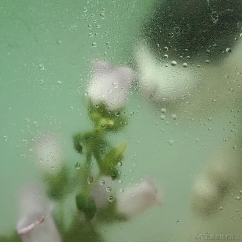 像风一样自由_xjy于2023-04-07 00:34发布的图片