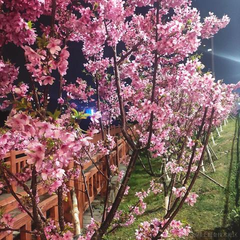 小何1217于2023-03-19 23:11发布的图片