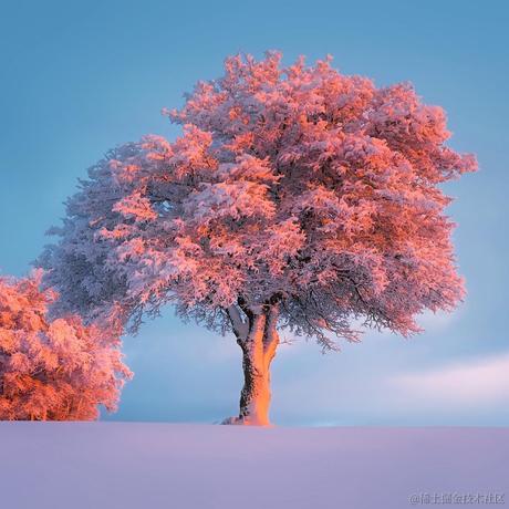 白水白于2024-01-24 11:15发布的图片