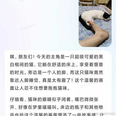 独立开发者张张于2023-06-30 23:13发布的图片