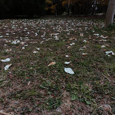 Grong于2023-04-15 13:58发布的图片