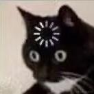 枫糖奶淇琳于2022-12-02 20:00发布的图片