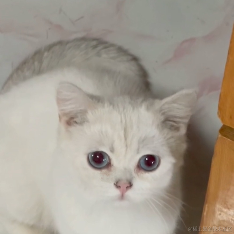 Ariel_Bo于2021-04-05 22:53发布的图片