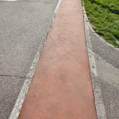 铁血顶碗人于2023-06-22 07:35发布的图片