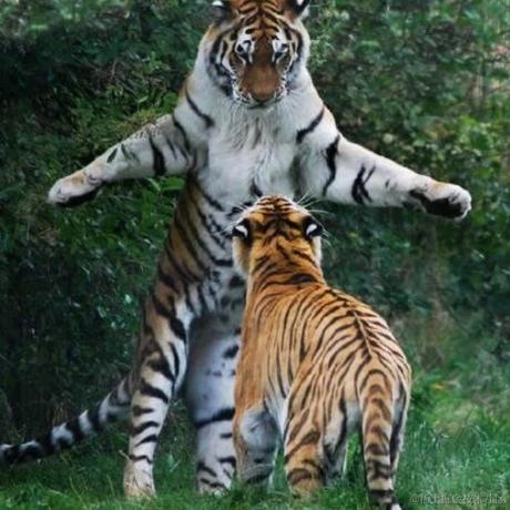 理想国579于2022-12-03 07:21发布的图片