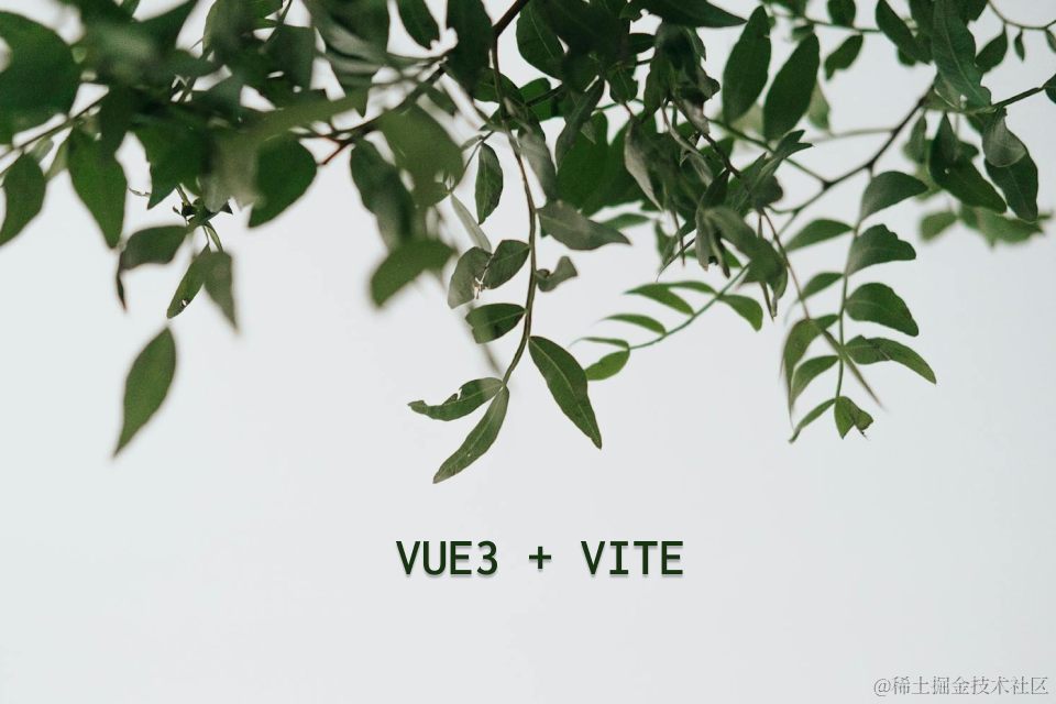 vue3 + vite