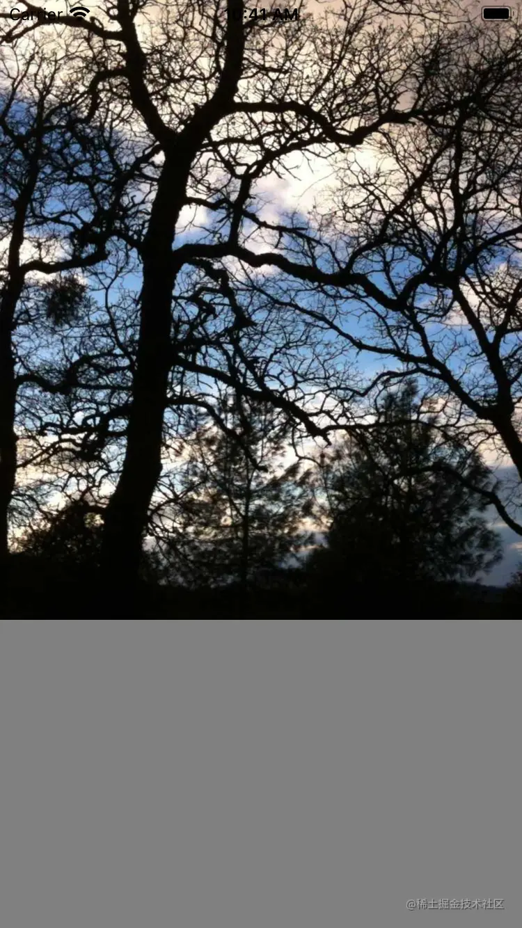 Simulator Screen Shot - iPhone 8 - 2021-05-29 at 10.41.35.png