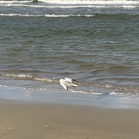 阿飞飞飞于2020-10-06 07:22发布的图片