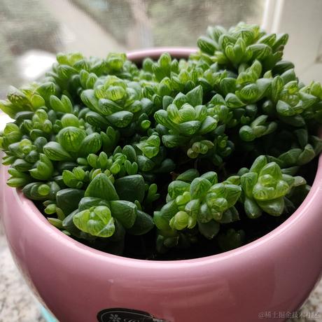 今天和贝拉小姐结婚于2022-11-21 10:15发布的图片