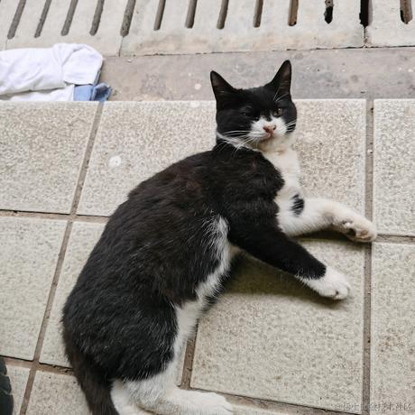 Yj家的孺子牛于2022-11-06 22:43发布的图片