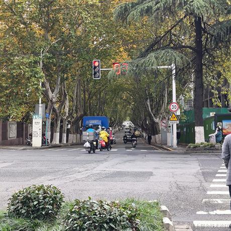 我不是草学长于2022-11-25 08:29发布的图片