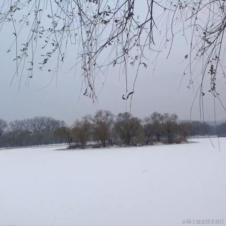 缟衣綦巾于2022-12-04 20:55发布的图片