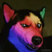 莽村车神李有田于2023-02-06 16:52发布的图片