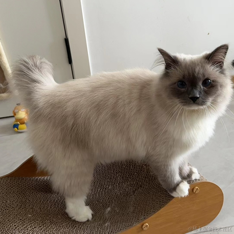 打你的修狗于2023-04-19 18:59发布的图片