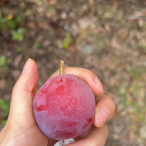 小橙子呀于2023-06-14 11:01发布的图片