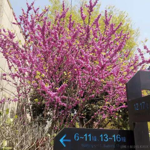 已注销于2021-03-25 17:41发布的图片