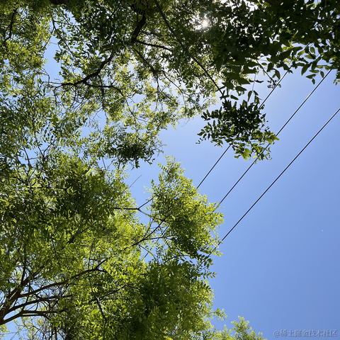 菜到不行于2023-04-29 19:02发布的图片