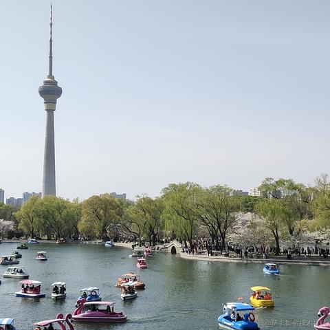 私涙洇于2023-03-29 09:13发布的图片