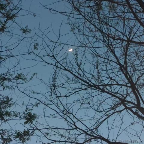 天空之城53于2023-04-27 08:54发布的图片