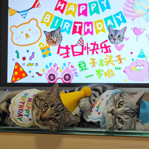 一颗小肉丸儿于2023-04-29 10:19发布的图片