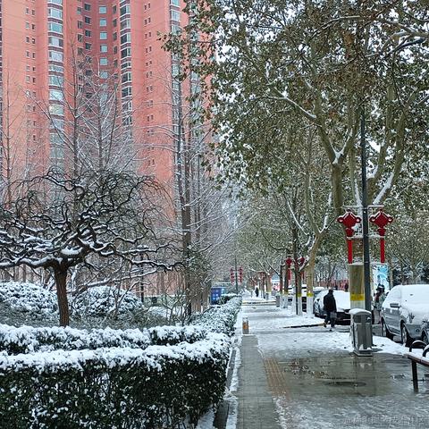 俄里翁于2023-12-11 09:00发布的图片