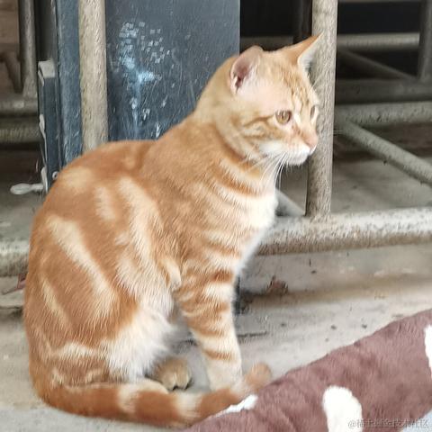 西米酱米西于2022-11-10 16:51发布的图片