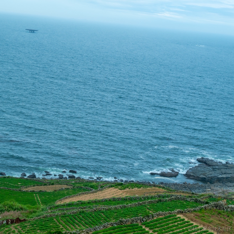 渣然于2023-07-02 20:07发布的图片