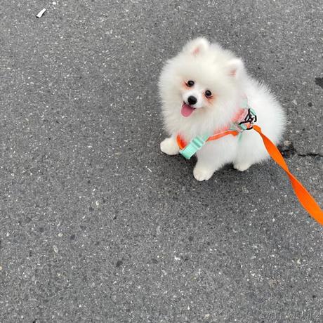 yestodayHadRain于2023-07-25 14:25发布的图片