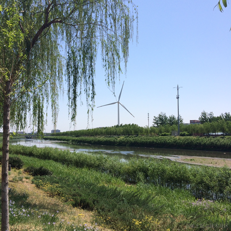 聚散流沙1于2022-10-27 10:17发布的图片