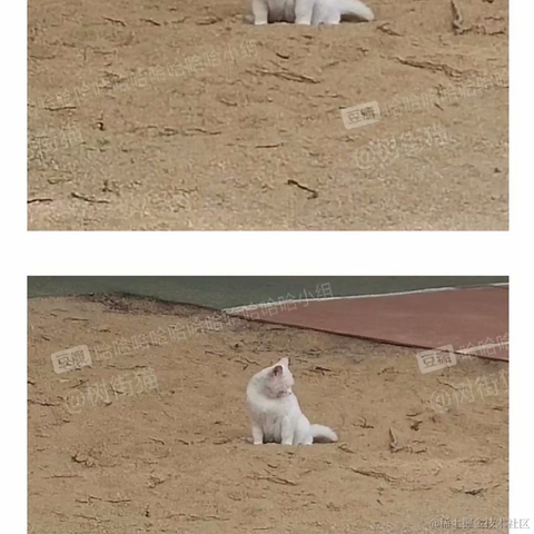 魔童闹海于2021-06-03 17:27发布的图片