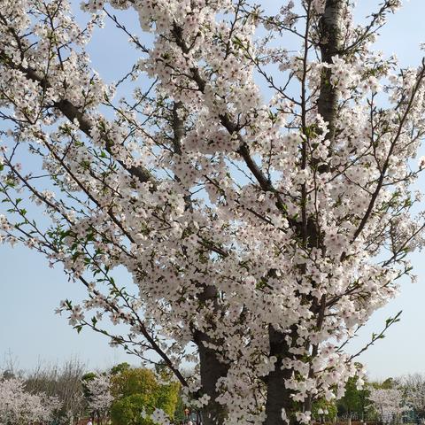 getify于2023-03-26 15:07发布的图片