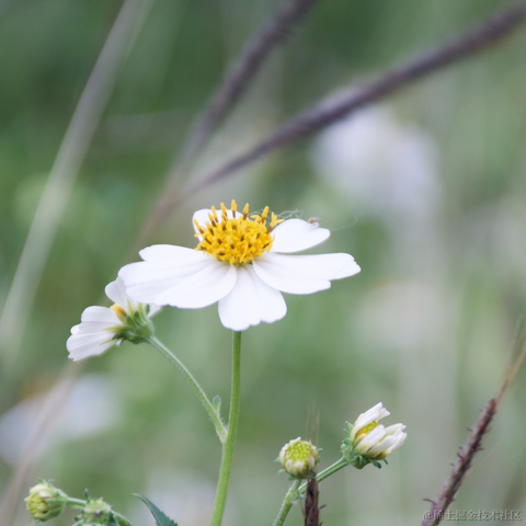 _一杯冰美式_于2023-03-21 10:05发布的图片