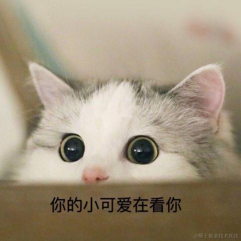 神奇的程序员于2021-01-07 10:54发布的图片