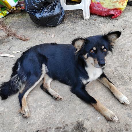 TGyan于2022-12-05 17:43发布的图片