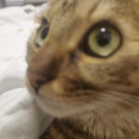 灿若繁星先生于2022-12-04 23:45发布的图片